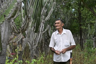 Planting Giant Cactus To Stave Off Desertification In Brazil