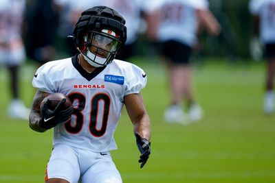 Bengals RB room flying underrated in new rankings