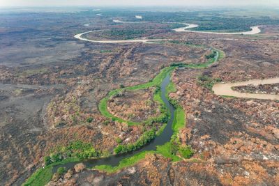 Brazil's Pantanal wetlands fire season hasn't officially started but it's already breaking records