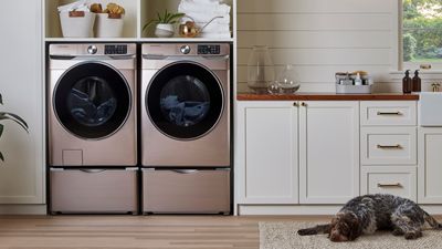 How to sanitize and disinfect a washer and dryer–options for cleaning the drums, doors and more