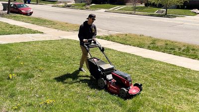 How to choose a cordless lawn mower—according to experts