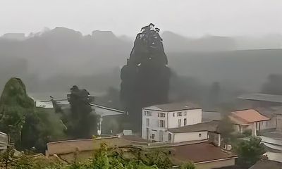 Bolt of lightning obliterates massive tree in ‘incredible footage’