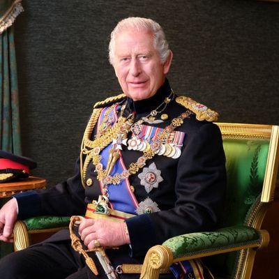 King Charles Releases New Royal Portrait in Honor of U.K.'s Armed Forces Day