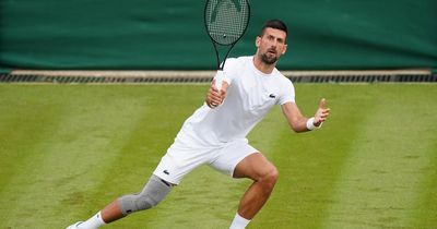 Novak Djokovic given Wimbledon green light as he provides update on injury