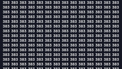 Brain teaser: Can you find 363 in this image