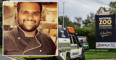 Chef accused of Canberra zoo murder committed for trial