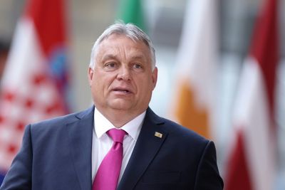 Hungary Takes On EU Presidency Amid Concerns