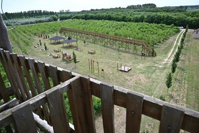 Tree-less Canopy Walkway Shines Spotlight On Hungary Graft