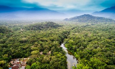 Into the Peruvian Amazon: ‘I’m going to show you good things. Let’s start with an anaconda’