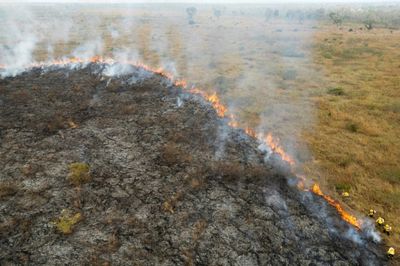 Historical fires at the Brazilian Pantanal biome test the country's environmental pledge