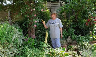 Joan Winfield obituary