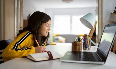 ‘I’m so excited we can do school differently’: how online education really works