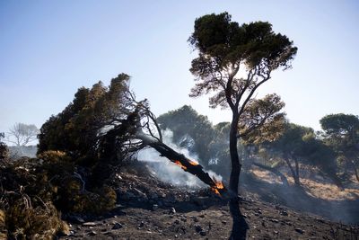 Firefighters tackle blaze on Greek island of Chios as premier warns of 'dangerous summer'