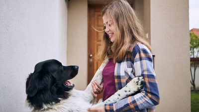 Does your dog like to jump and mouth? Try this simple tip from an expert trainer