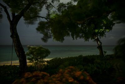 Powerful Hurricane Beryl Slams Into Caribbean Island Of Carriacou