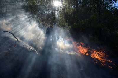 Fires Near Athens Under Control As New Blazes Rage In Greece