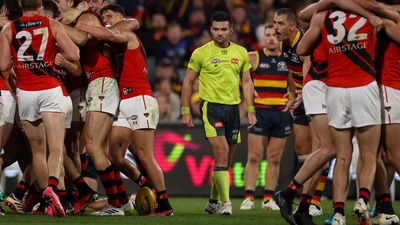 Umpiring standard is as good as ever, says AFL boss