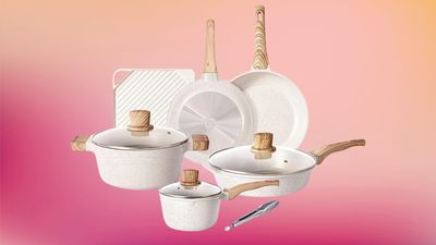 Wayfair is a Great Place to Shop for Designer-Look Cookware — And It's On Sale Right Now for July 4th
