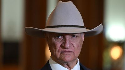 What the world needs just now: a portrait of Bob Katter