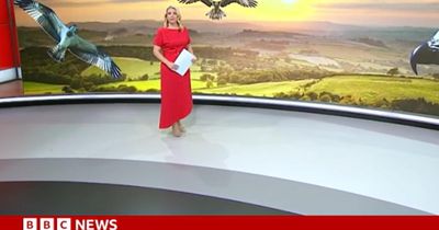 'What?': Confusion as BBC completely forgets Scotland in News at One report