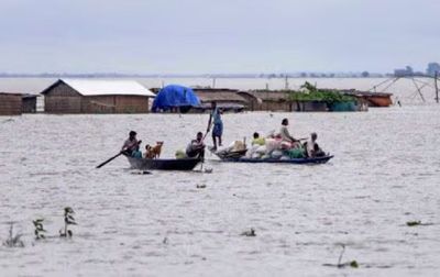 About 95 Kaziranga forest camps submerged in Assam floods