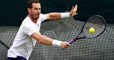 Andy Murray withdraws from Wimbledon singles after surgery