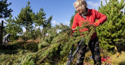 Community rewilding does not result in rural depopulation, charity says