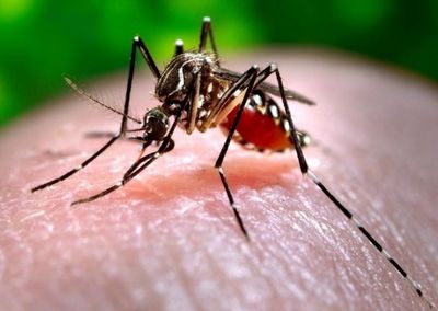 Union Health Ministry issues advisory to states in view of Zika virus cases from Maharashtra