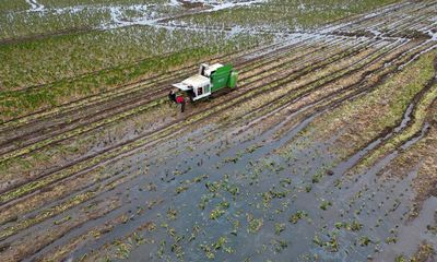 Disastrous fruit and vegetable crops must be ‘wake-up call’ for UK, say farmers