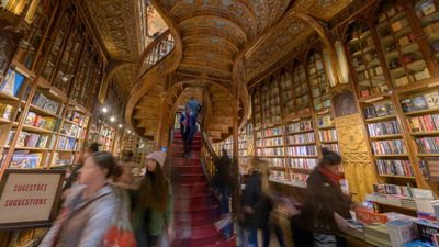 As a Harry Potter fan I visited the bookshop in Porto that 'inspired' JK Rowling — here's what I discovered