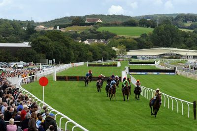 Four horse deaths in single afternoon of racing blamed on ‘unique circumstances’