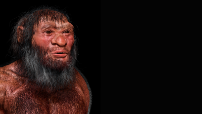 Who were the Denisovans, archaic humans who lived in Asia and went extinct around 30,000 years ago?