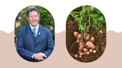 Monty Don shares his unique 'July potato ritual' for a guaranteed healthy harvest