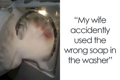 81 Pics Showing Unfortunate Yet Hilarious Mistakes Wives Made (New Pics)