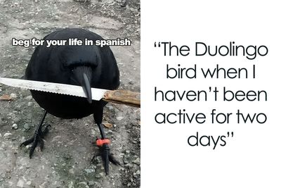 81 Hilarious Duolingo Memes That Every User Of The App Should Relate To