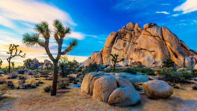 The 10 best desert National Parks in the US: canyons, formations and adventure