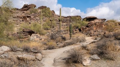 10-year-old boy dies in Arizona after four-hour hike in triple-digit temperatures