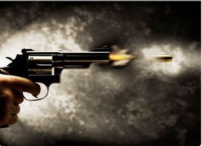 Man allegedly shoots himself dead in Delhi's Rohini