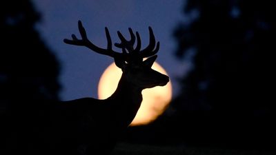 July full moon 2024: See the Buck Moon share the sky with Mercury