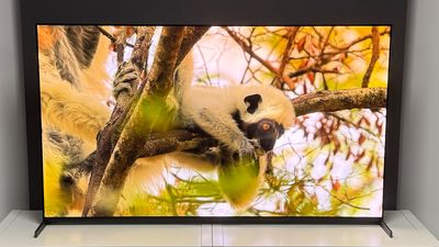 Which TVs have the best sound (as well as great pictures)?