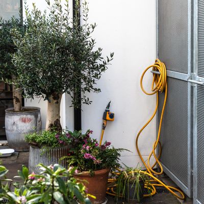 How to increase the water pressure in a hose - experts reveal 6 reasons why your garden hose has lost pressure and how to fix it