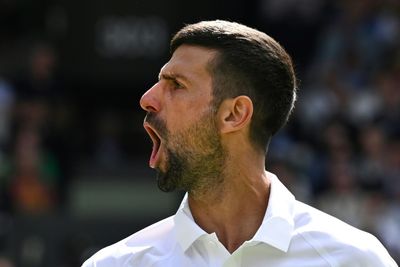 Djokovic Backs Murray To Return Despite Wimbledon Farewell