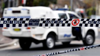 Driver dies in police custody after fleeing crash scene