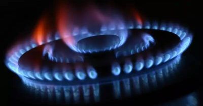 Getting off gas: Will it help you beat the energy price crisis?
