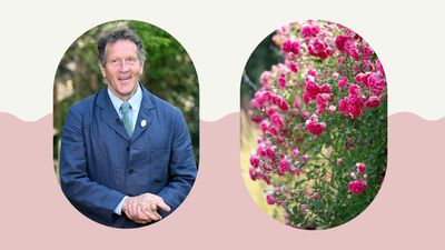 Monty Don says now is the time to give your rambling roses a 'tactical' prune – and here's why