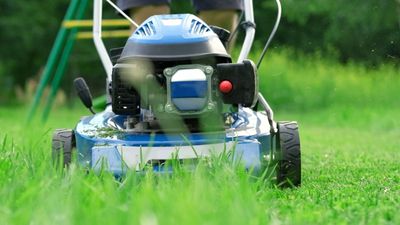 Why is my lawnmower smoking? Four common problems and simple fixes