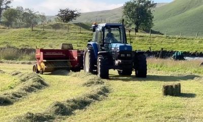 Country diary: Itching and scratching after a day of hay-baling