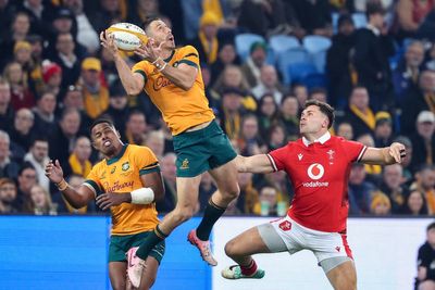 Australia v Wales LIVE rugby: Result and reaction as Wallabies end losing run with victory in Sydney