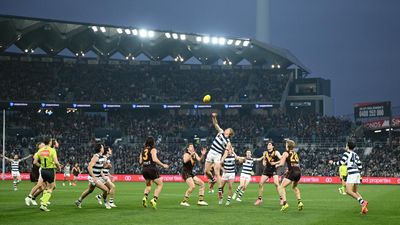 Cats end Hawthorn's win streak with big home triumph
