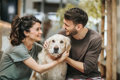 Pup prenups: 84% of pet parents support the idea of proactively deciding the fate of their pets if they divorce